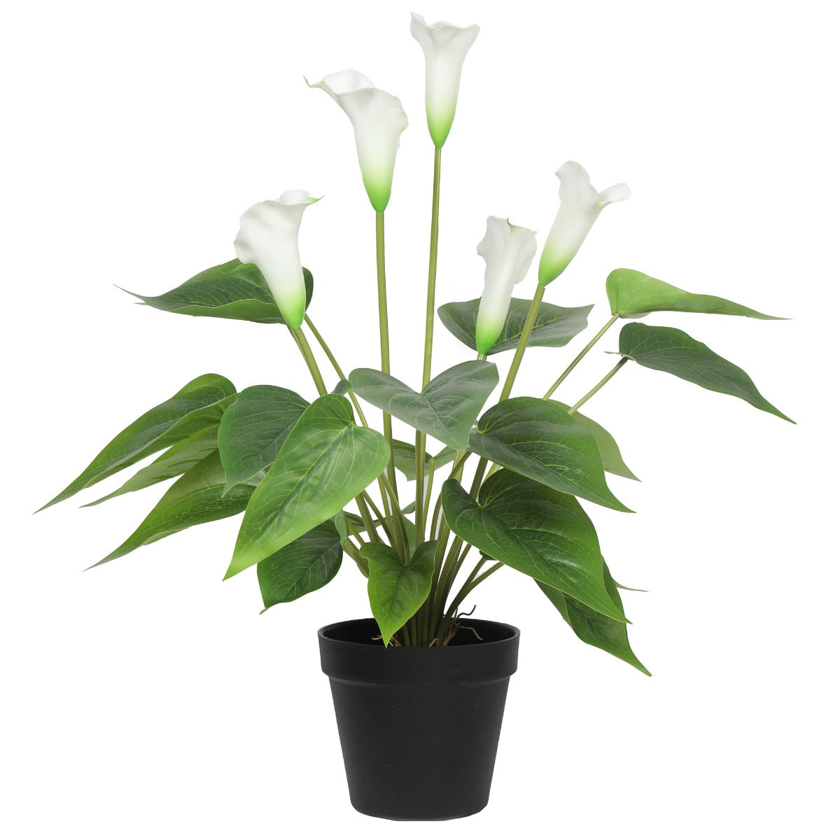 Artificial flowering white peace lily calla lily potted plant 50cm for home decor — Allure Home Collections