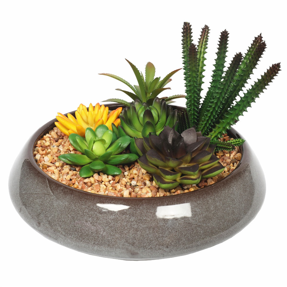 Potted artificial succulents in round decorative bowl 19cm — colourful mixed arrangement — Allure Home Collections