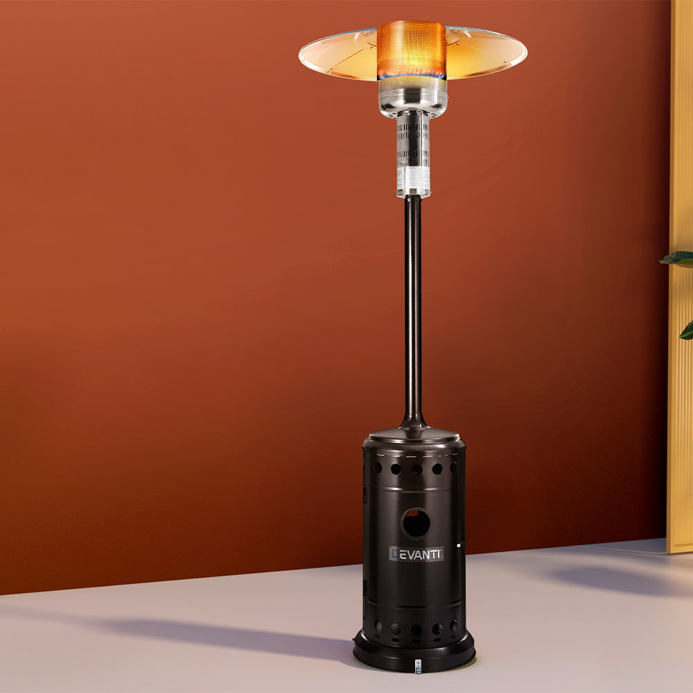 Hose, regulator and instruction manual supplied with the gas patio heater