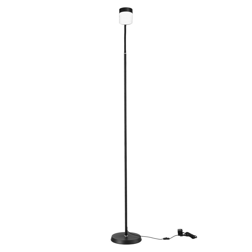 LED Floor Lamp with Remote Control — 4 Colour Temperatures, Flexible Neck — Allure Home Collections