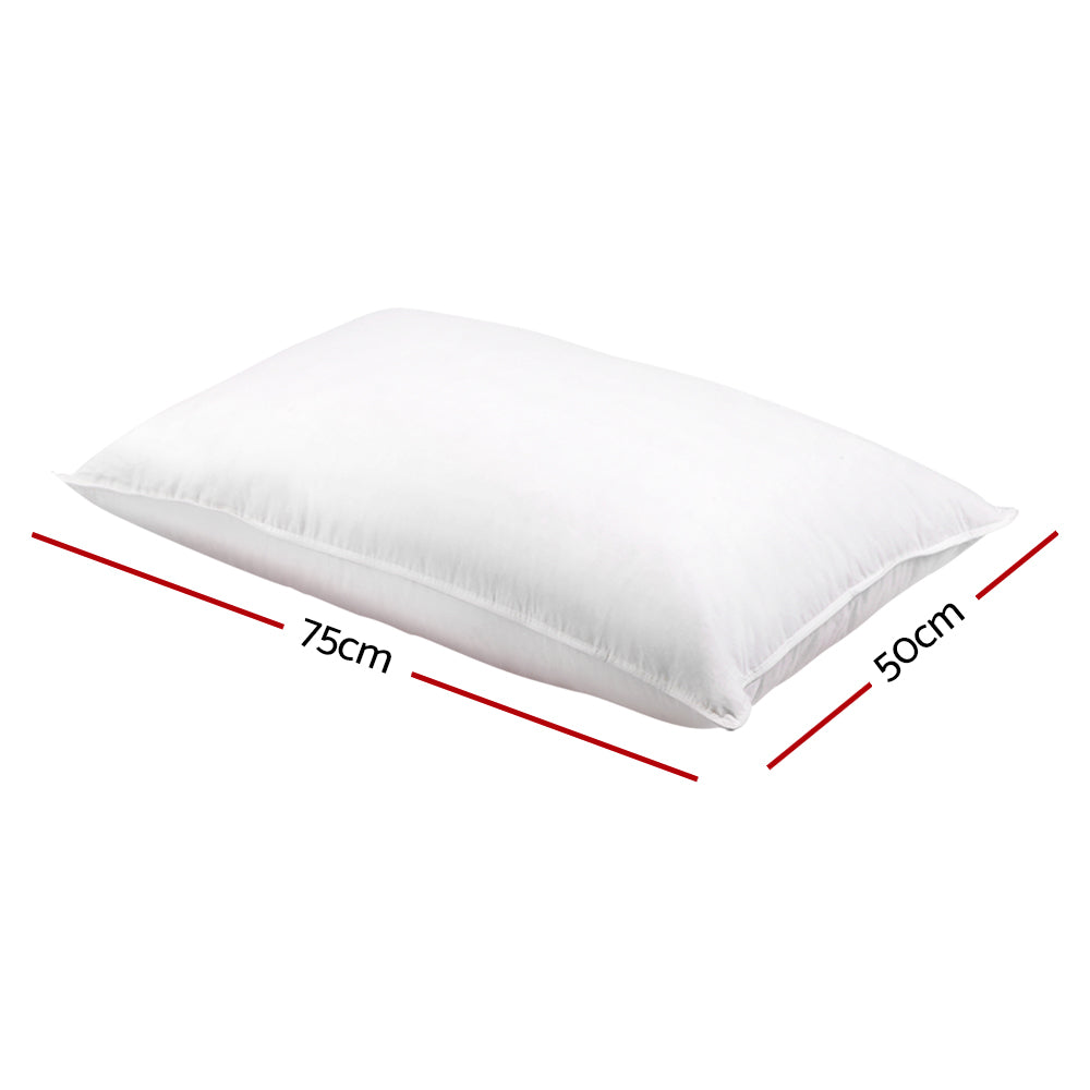 Giselle Bedding Duck Feather Down Pillow Twin Pack — 1kg Non-Live Plucked Fill — Allure Home Collections