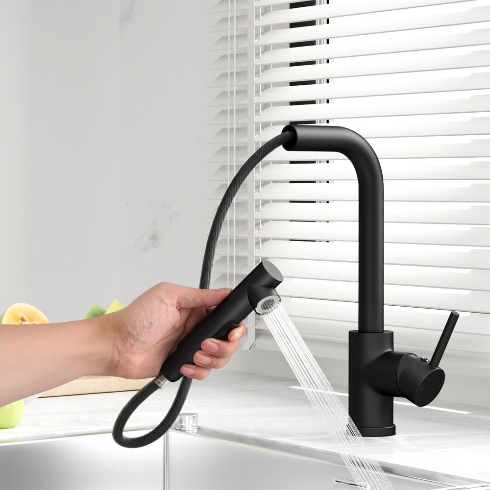 Pull Out Kitchen Mixer Tap Rectangle Spout Matte Black