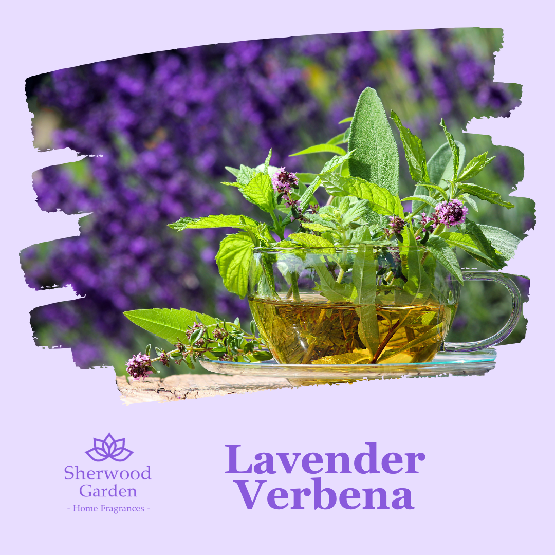 Lavender Verbena Soy Candle Tin 165g label detail