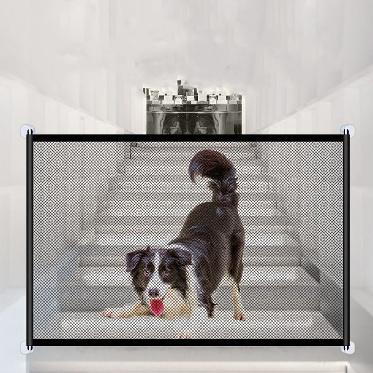 Freestanding Foldable Safety Fence, Baby and Pet Barrier Black