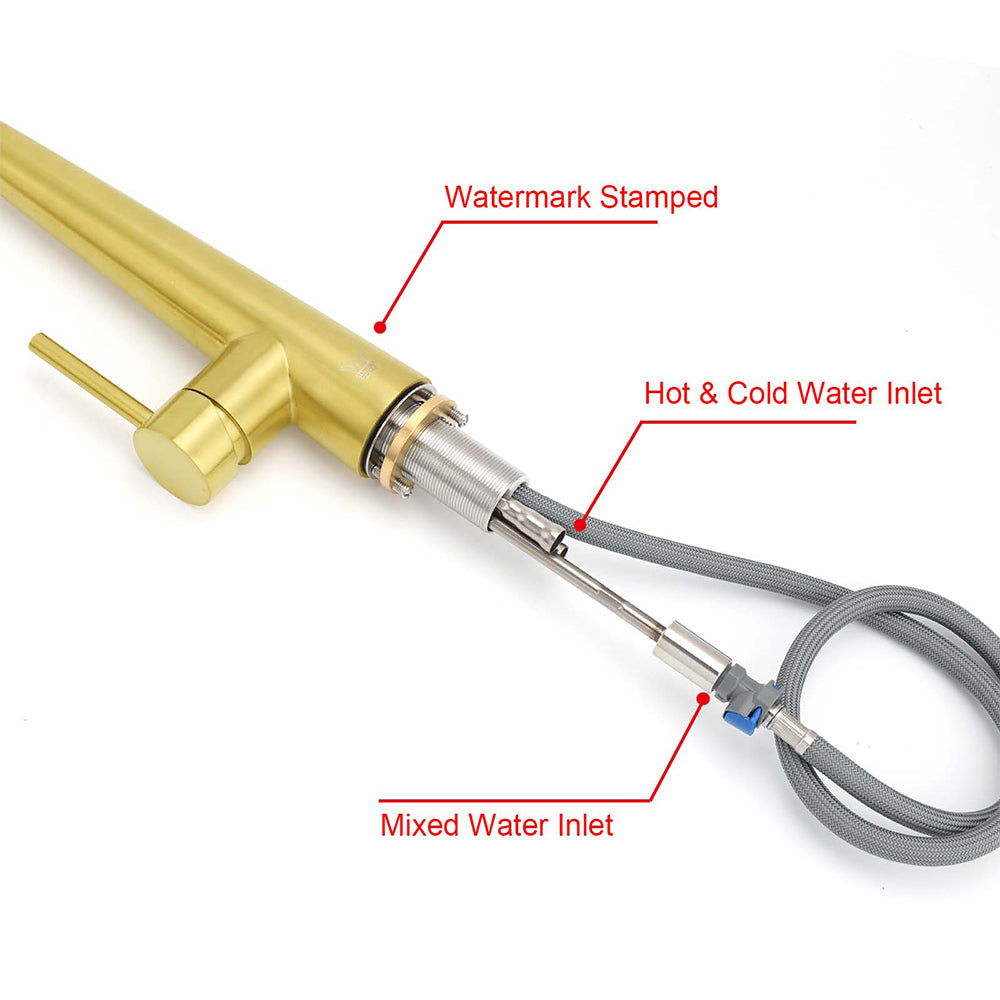 Pull Out Kitchen Mixer Tap with Two Spray Modes, Brushed Gold