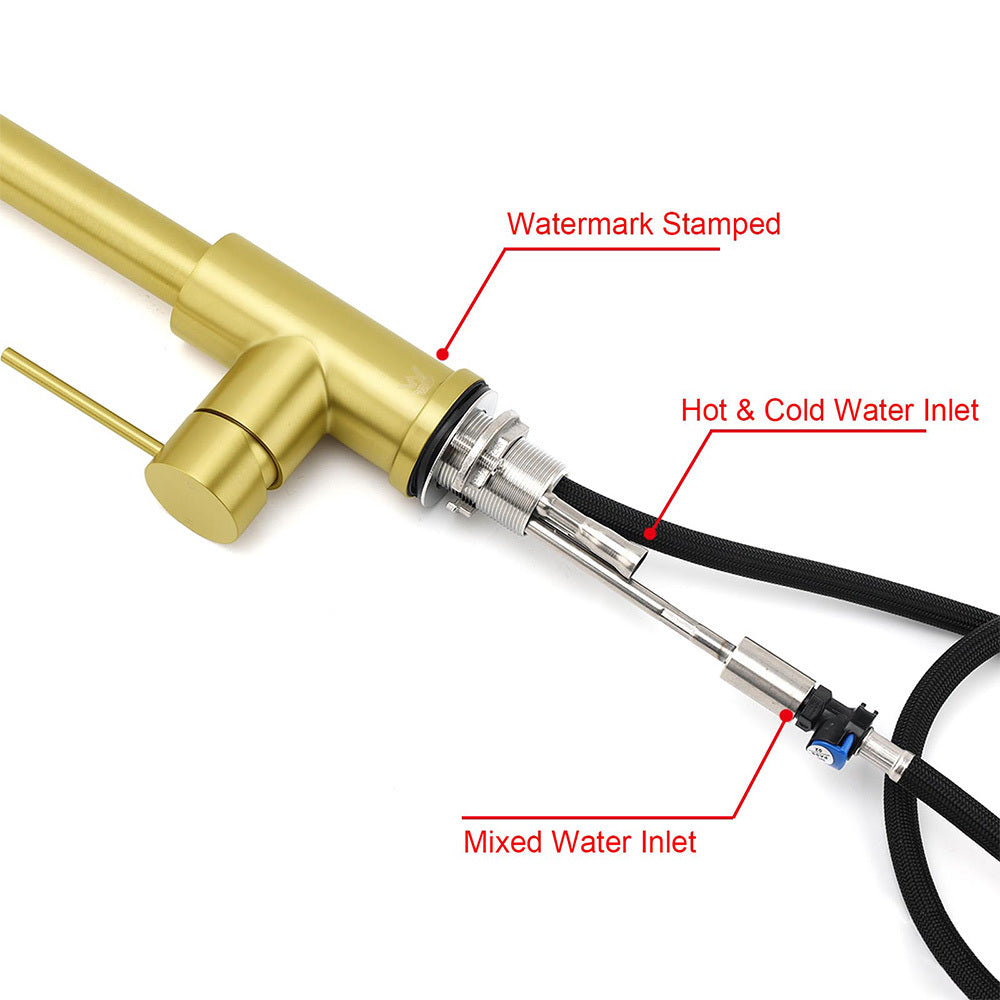 Pull Out Kitchen Mixer Tap with Dual Spray, Brushed Gold