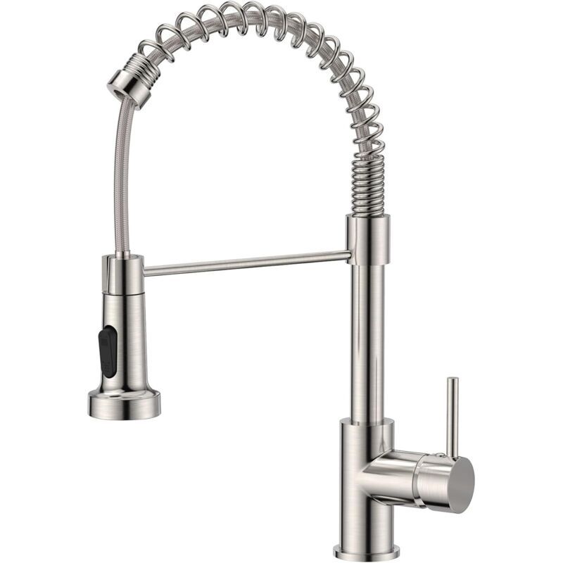 Stainless steel kitchen mixer tap with pull down sprayer