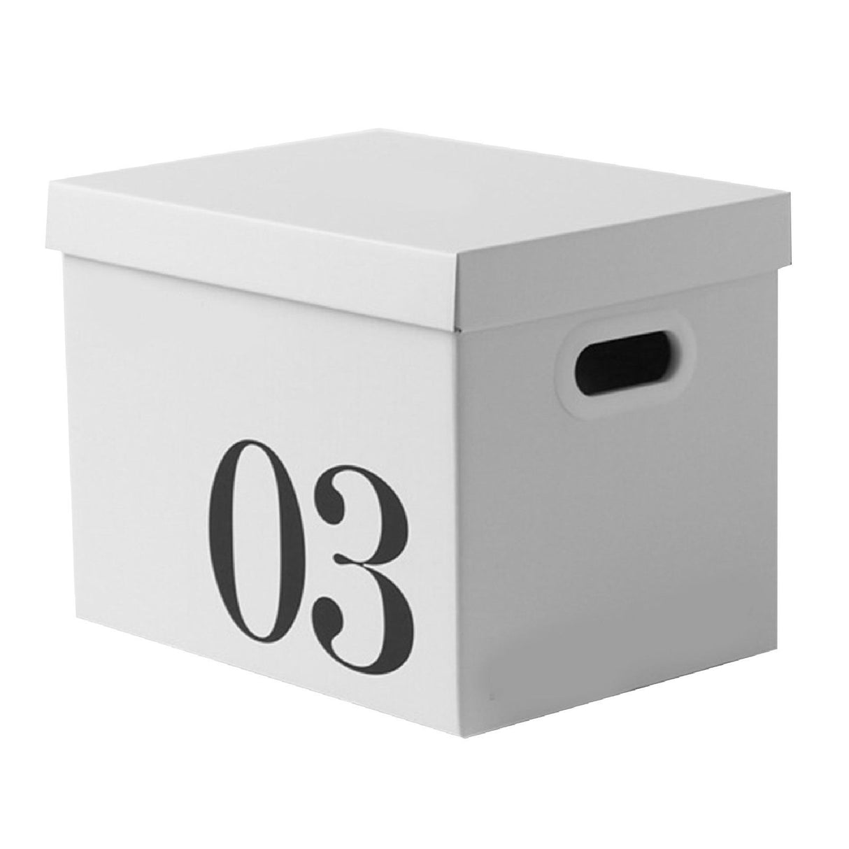 Cardboard storage box with side carry handles