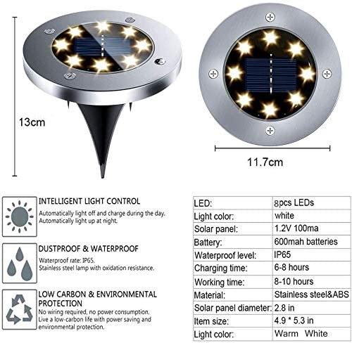 Solar pathway light with warm white 8 LED glow in a garden
