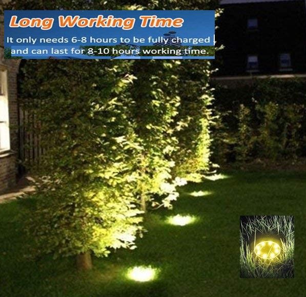 Solar pathway light with warm white 8 LED glow in a garden