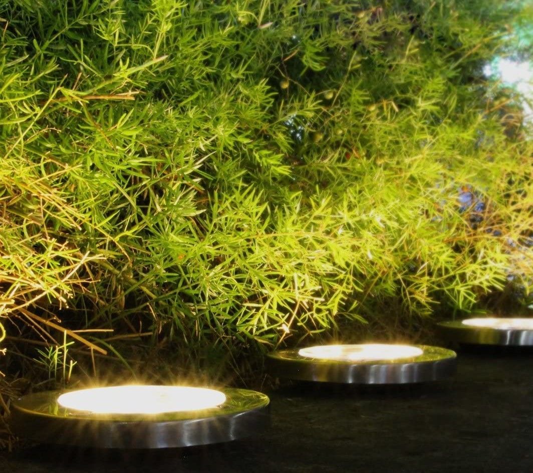 Solar pathway light with warm white 8 LED glow in a garden