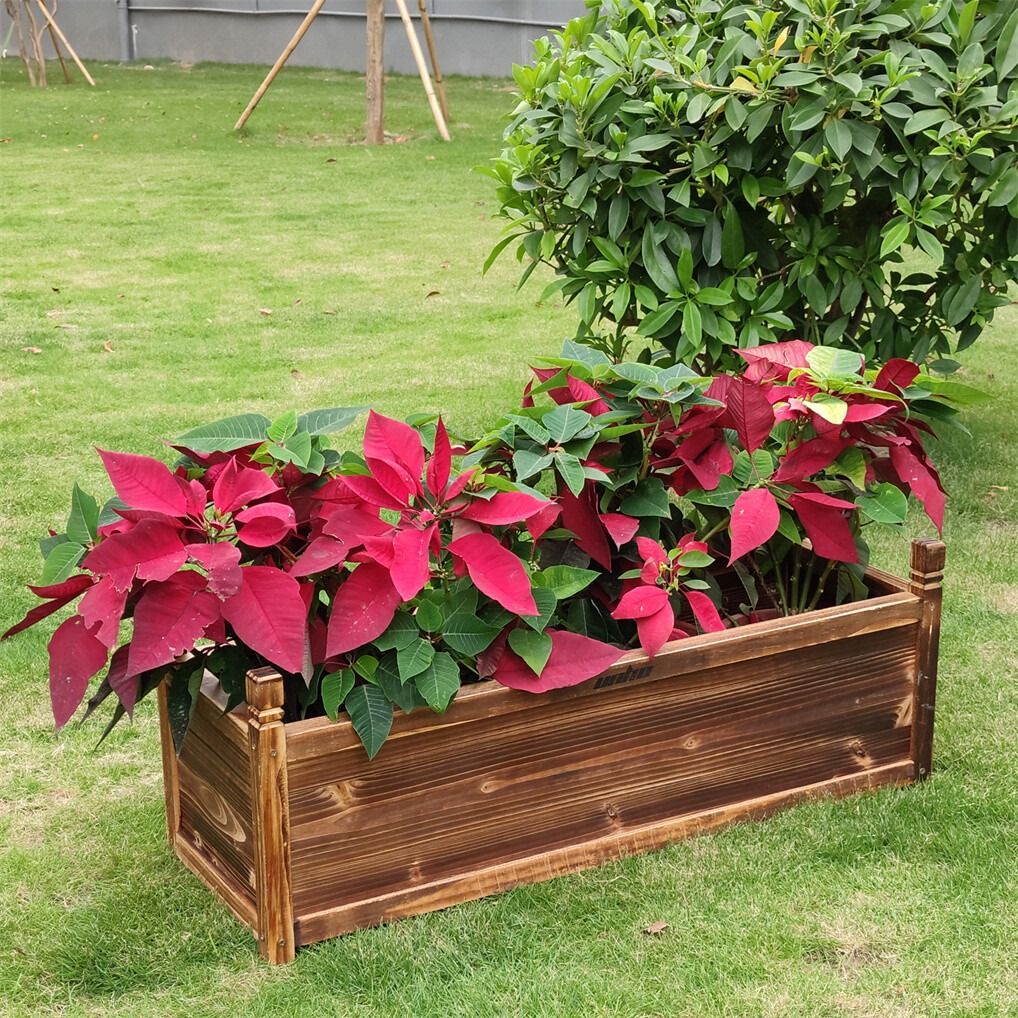 Medium Pine Wood Raised Garden Planter Box — 60 x 30 x 33cm — Allure Home Collections
