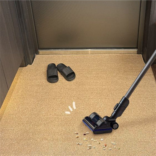 Large non-slip entrance door mat, 120 x 80 cm, dirt-trapping floor mat