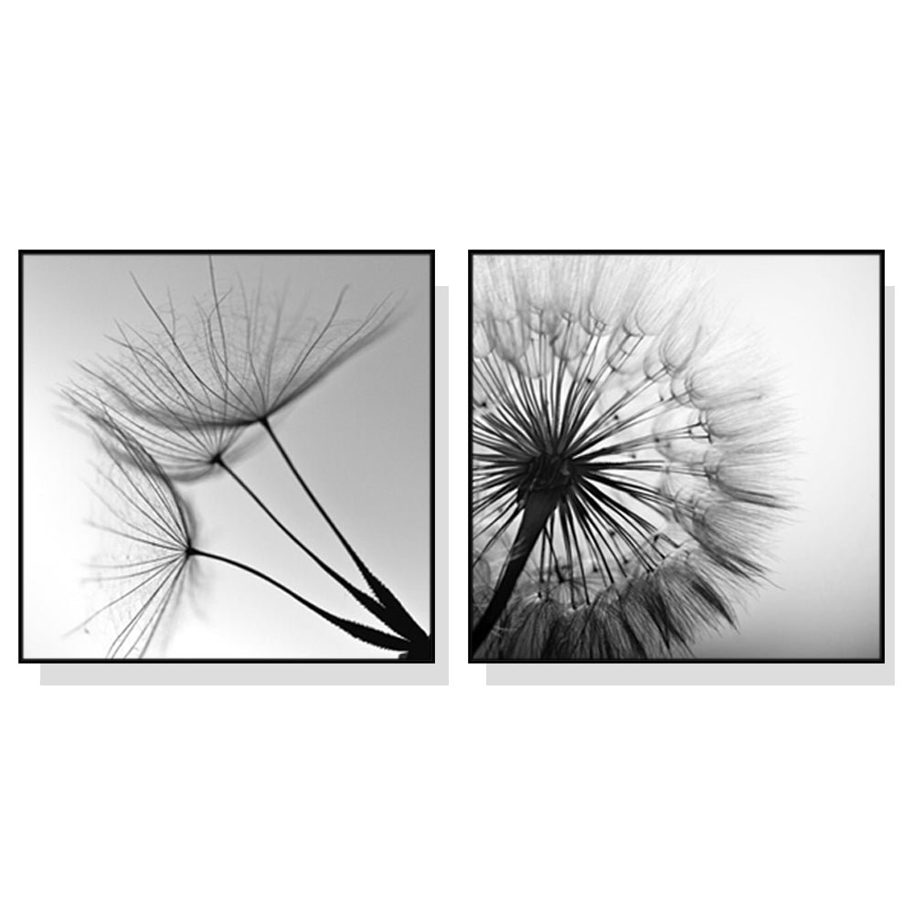 Black and white dandelion canvas wall art pair in black floating frames, 40 x 40 cm panels