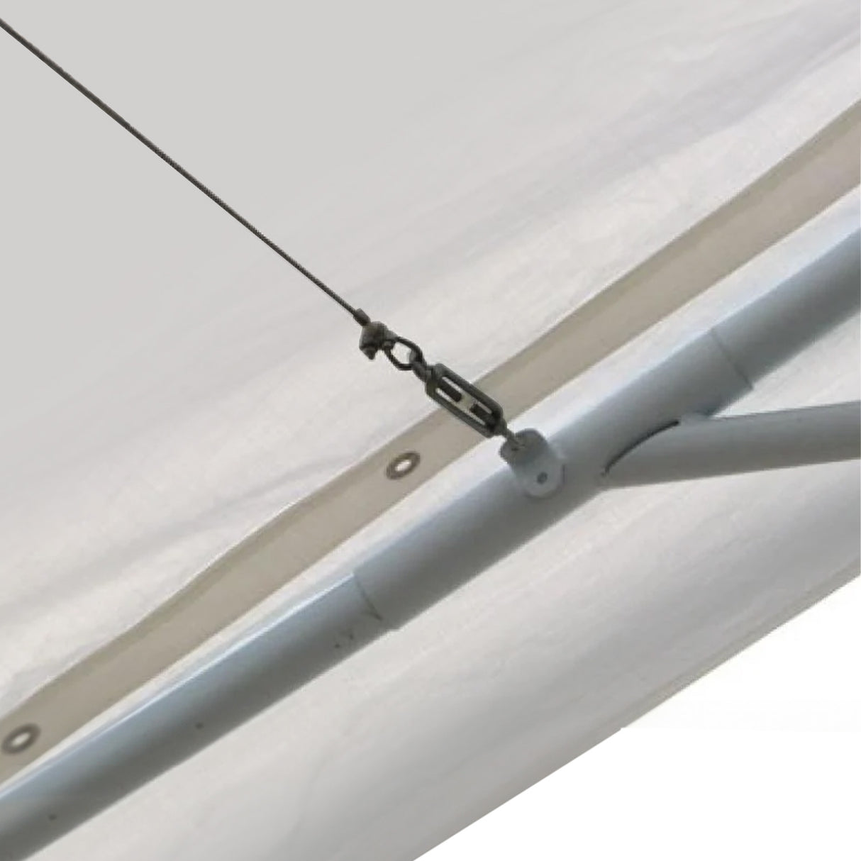 Diagram showing the 6 x 12 m dimensions of the replacement marquee roof