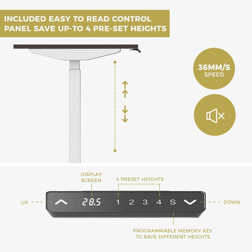 Allure Home Collections 160cm Height Adjustable Desk
