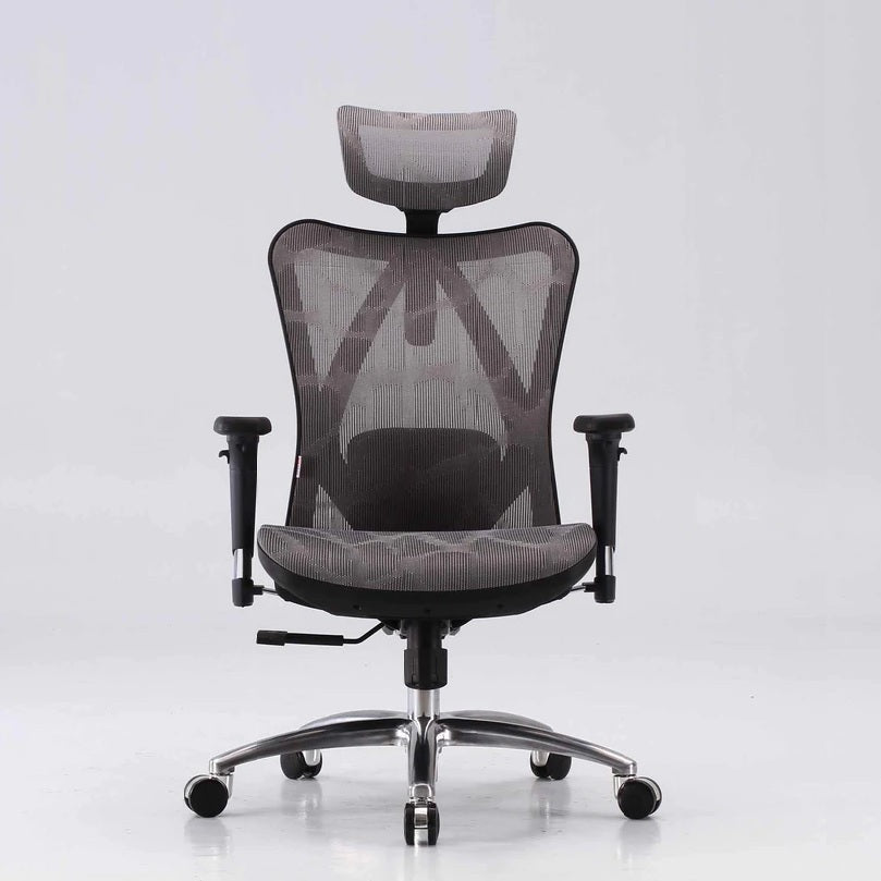 Walpole Ergonomic Office Chair, Grey