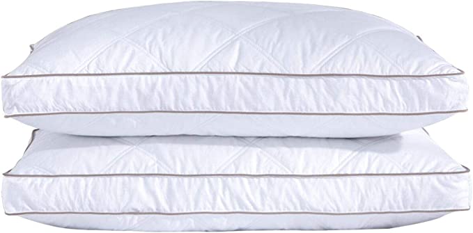 Premium King Size Pillows — 2-Pack with 2 Free King Pillow Cases — Allure Home Collections