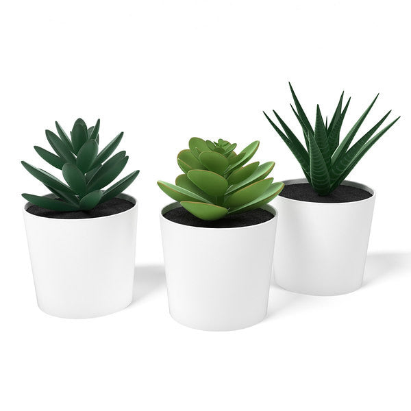 Three artificial succulent plants arranged as interior decor — Allure Home Collections