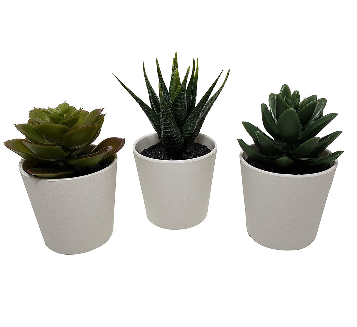 Artificial succulent plant showing variety of shapes in three pack — Allure Home Collections