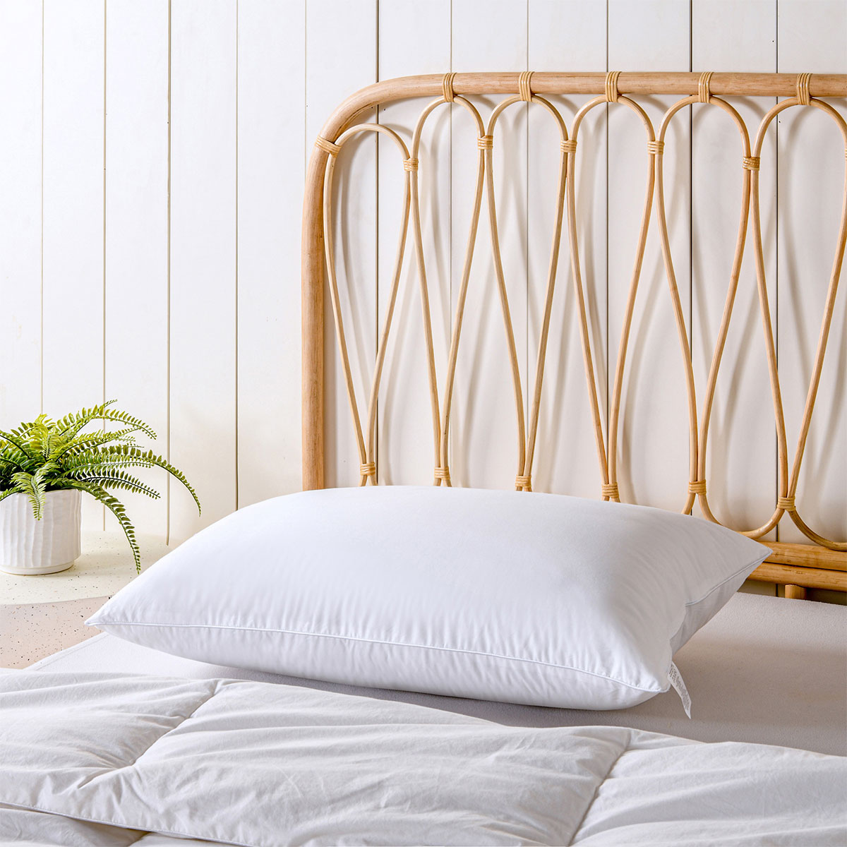 Bianca Natural Sleep Bamboo Blend Medium Profile Pillow — Cotton Japara Cover — Allure Home Collections