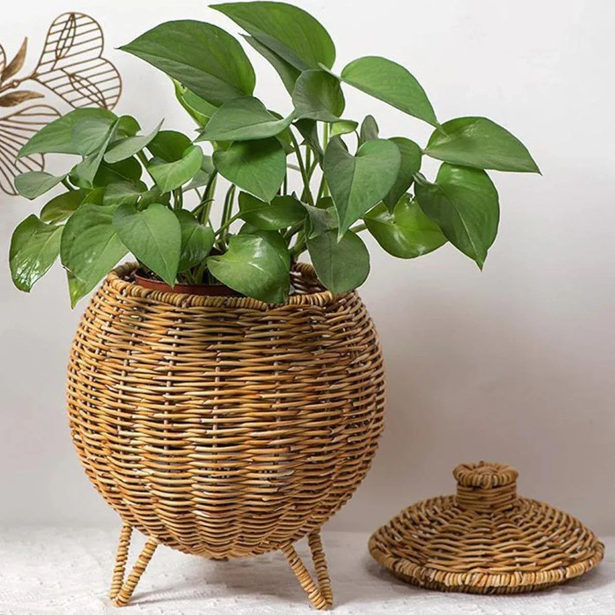 Hand woven rattan storage basket with lid, without legs