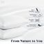 Puredown Goose Down and Feather King Pillow Inserts — Set of 2, 100% Cotton Cover — Allure Home Collections