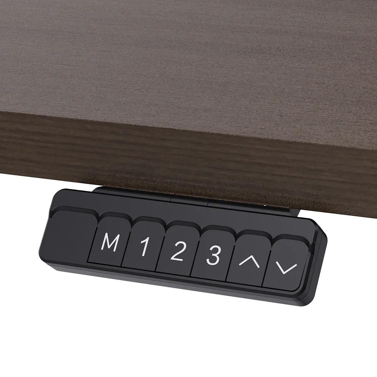 Reid walnut electric standing desk with black frame in a home office