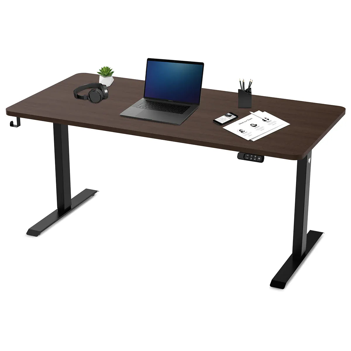 Oxley Electric Standing Desk, Walnut 160cm