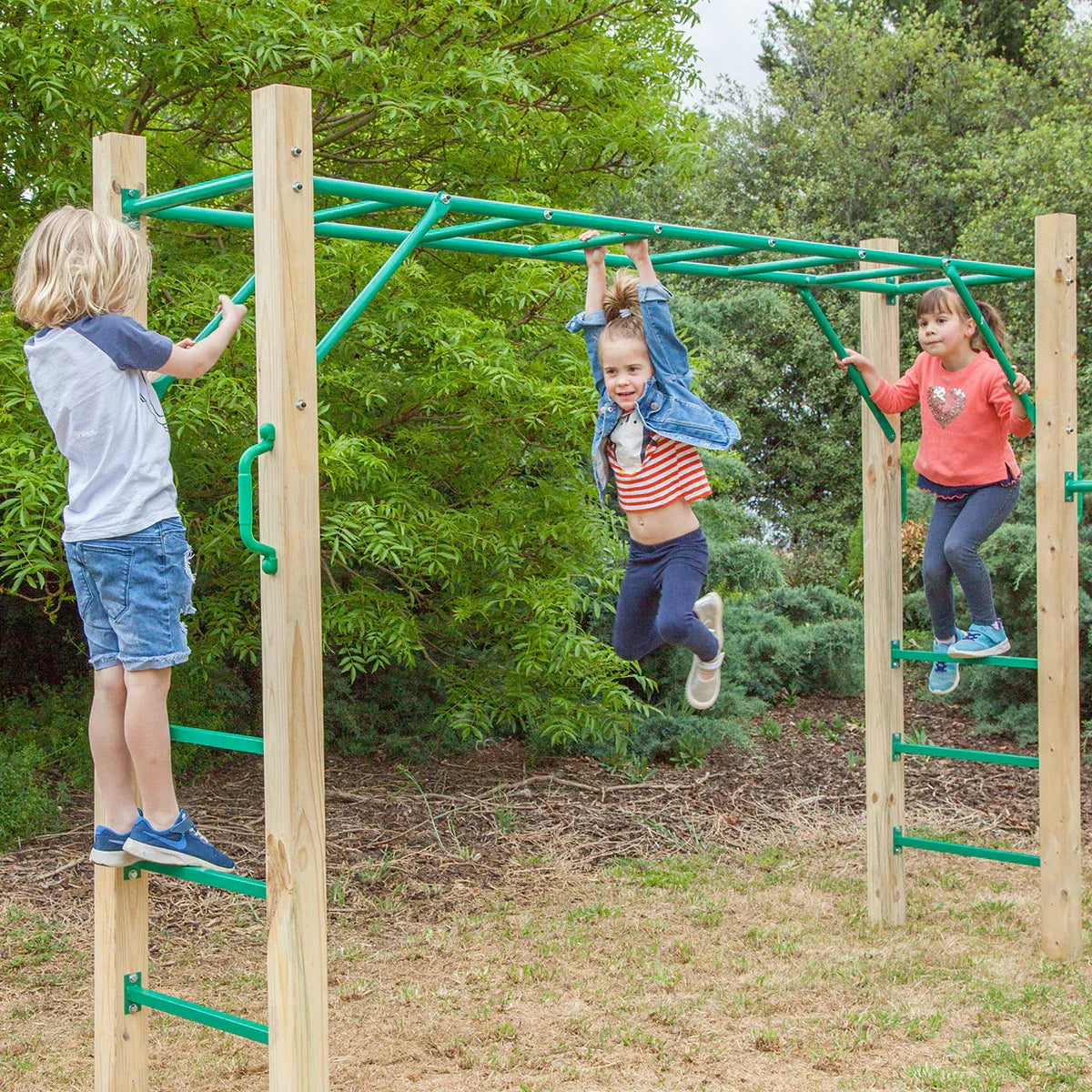 Timber monkey bar set 2.5m view 5