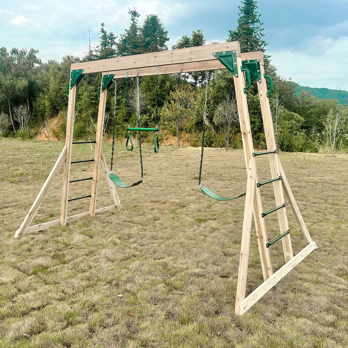 Timber 2 in 1 monkey bars and swing set view 5
