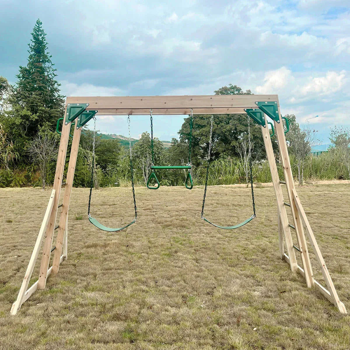 Timber 2 in 1 monkey bars and swing set view 7