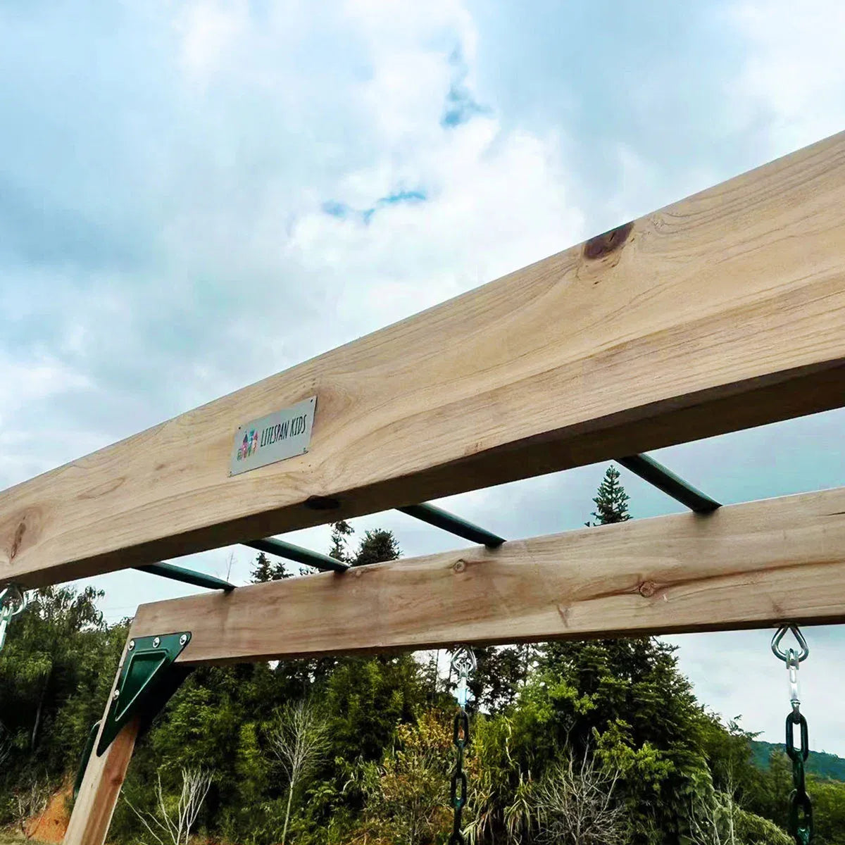 Timber 2 in 1 monkey bars and swing set view 8