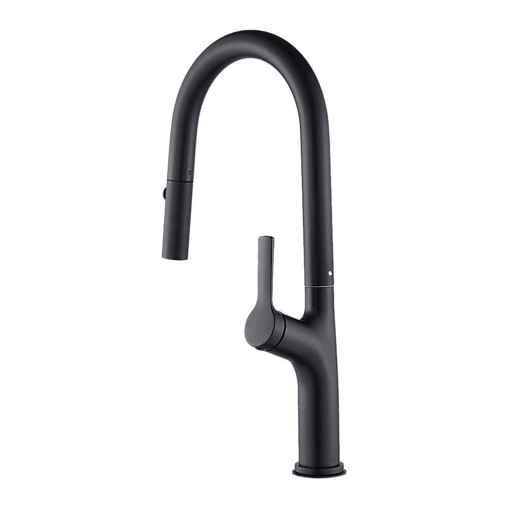 Pull out kitchen mixer tap in stainless steel with matte black finish