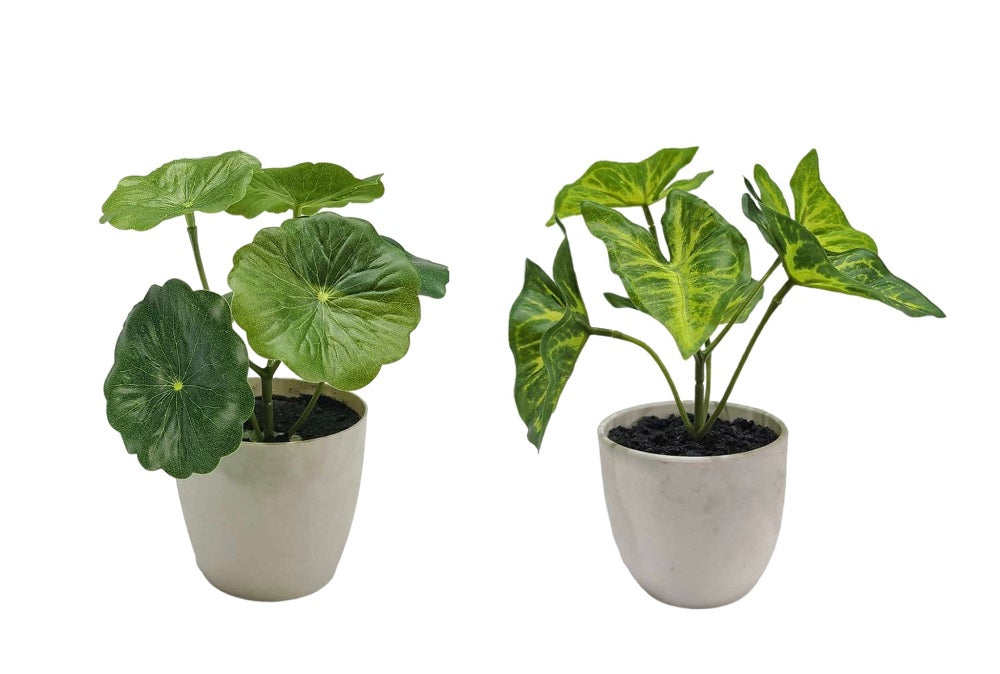 Set of 2 artificial taro and lotus plants in plastic pot 7x15cm for desk and shelf — Allure Home Collections