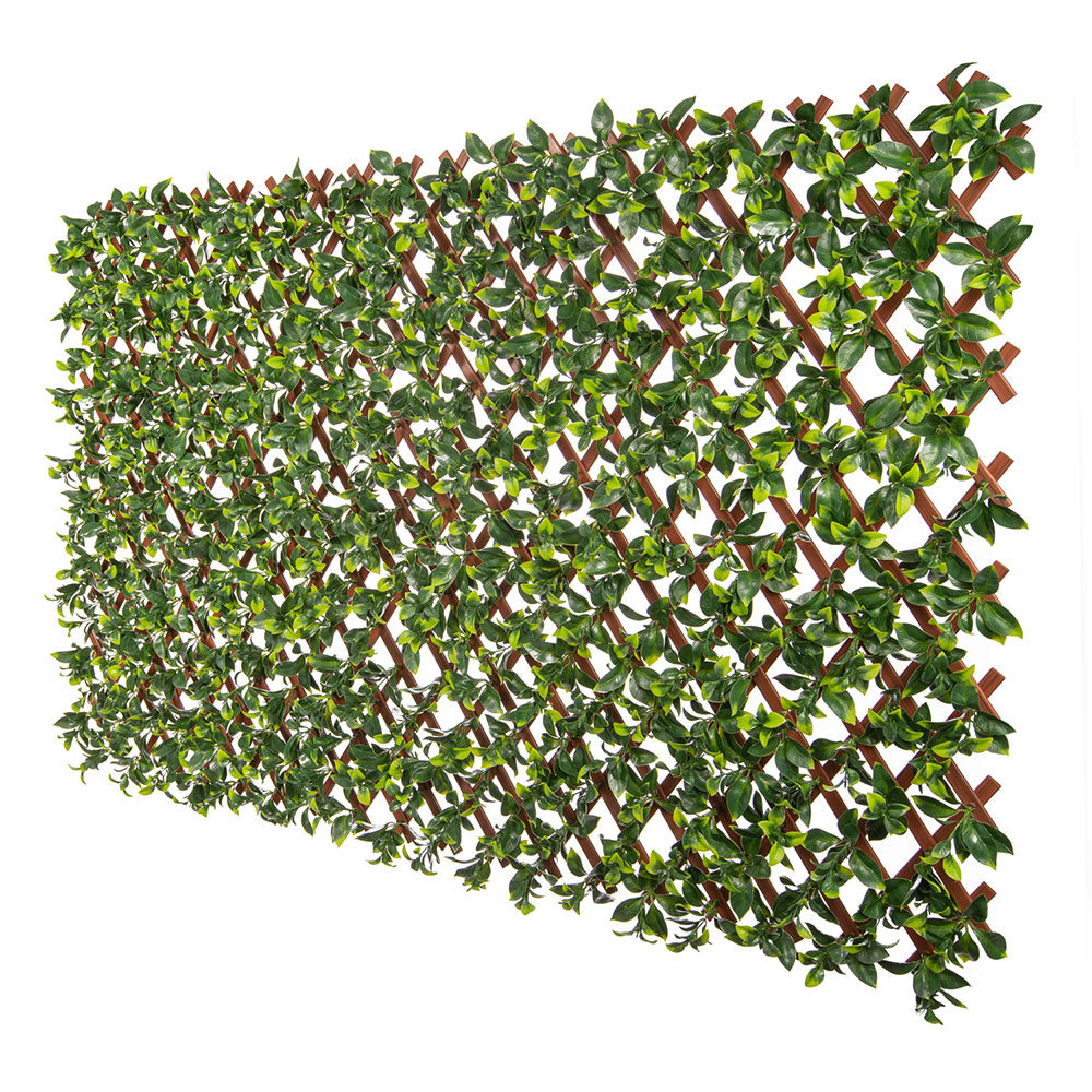 Extendable jasmine artificial hedge trellis screen 2m x 1m UV-resistant PVC for privacy — Allure Home Collections