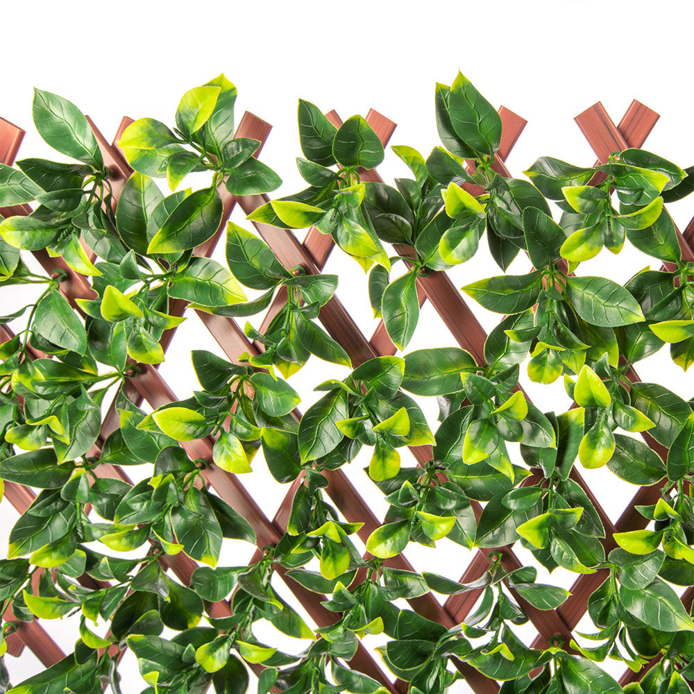 Artificial jasmine trellis screen close-up showing realistic flower and leaf detail — Allure Home Collections