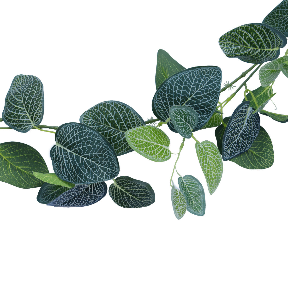 Artificial fittonia garland close-up showing leaf colour and texture variety — Allure Home Collections