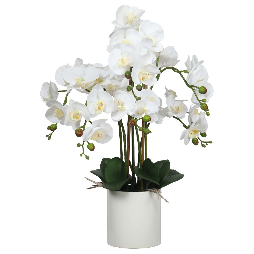 Large multi-stem white potted faux orchid 65cm with realistic blooms — Allure Home Collections
