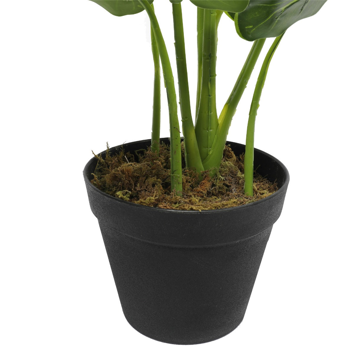 Artificial elephant ear taro plant styled in living room corner — Allure Home Collections