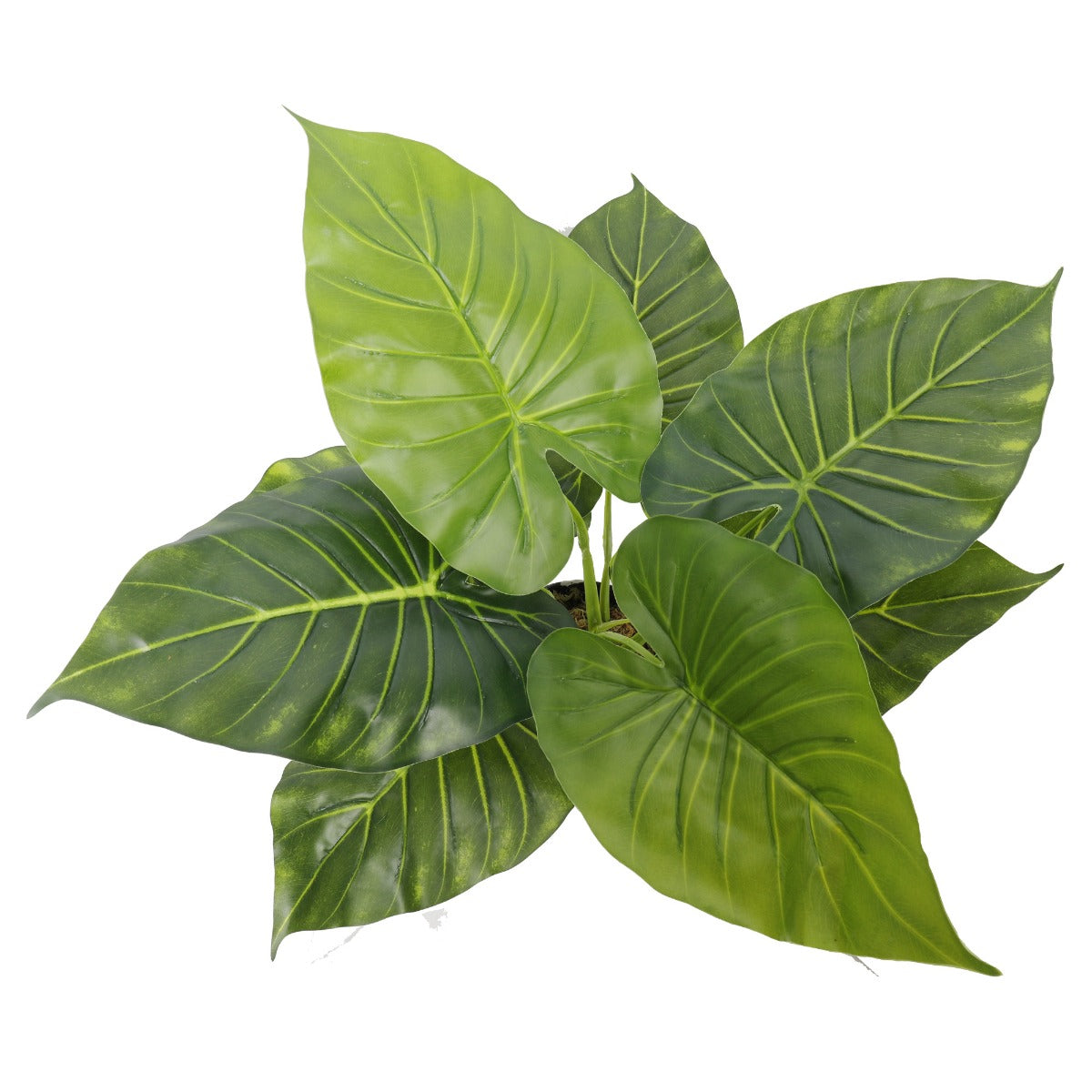 Artificial taro elephant ear leaf close-up showing realistic texture and veining — Allure Home Collections