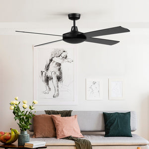 Ceiling Fans