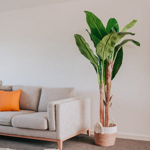 Artificial Plants
