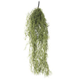 Artificial Spanish moss air plant old man beard 60cm for hanging and display — Allure Home Collections