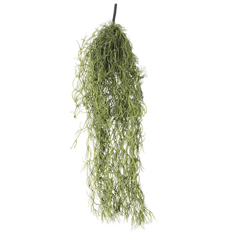 Artificial Spanish moss air plant old man beard 60cm for hanging and display — Allure Home Collections