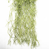 Faux Spanish moss styled hanging in decorative display — Allure Home Collections