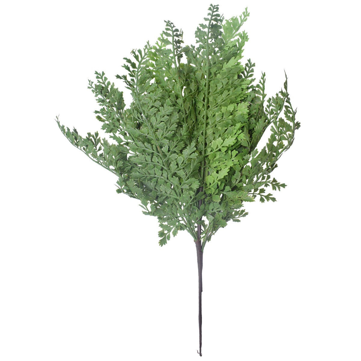 Faux maiden hair fern close-up showing intricate frond and leaf detail — Allure Home Collections