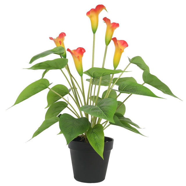 Artificial flowering white and orange calla lily potted plant 50cm for home decor — Allure Home Collections