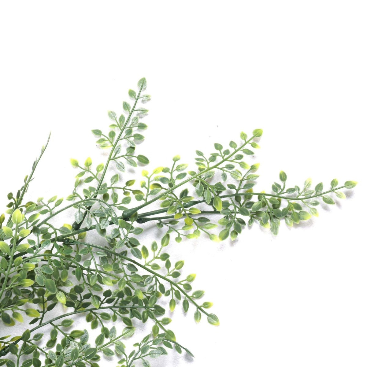 Artificial hanging fern styled in basket for indoor display — Allure Home Collections