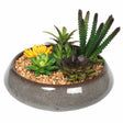 Potted artificial succulents in round decorative bowl 19cm — colourful mixed arrangement — Allure Home Collections